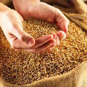 About Company VALMAR INGREDIENTS